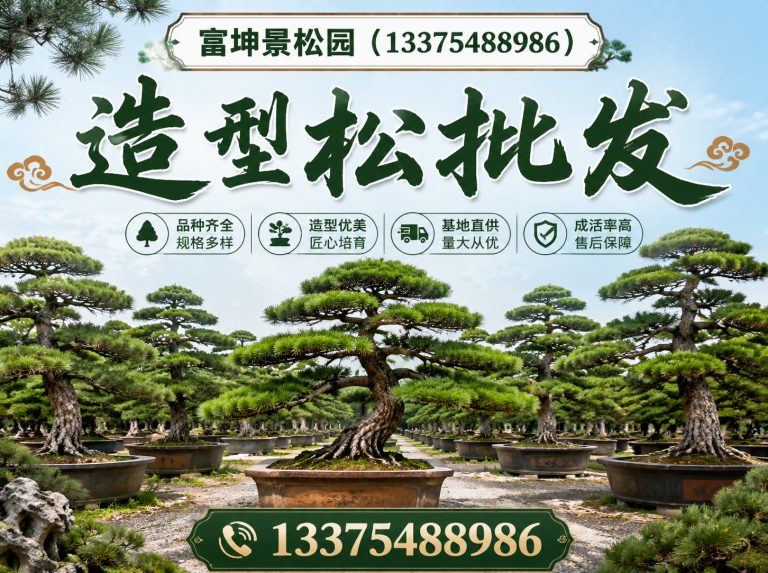 山东富坤景松园展示图